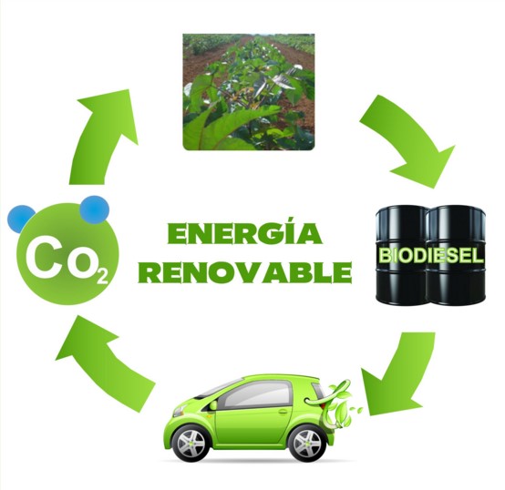 Биодизельное топливо, фото